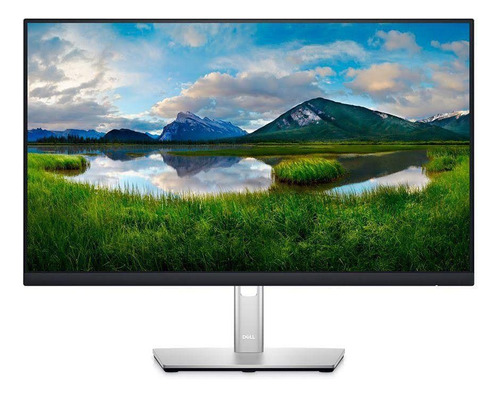 Monitor Dell 23.8 P2422h - 210-bcdo