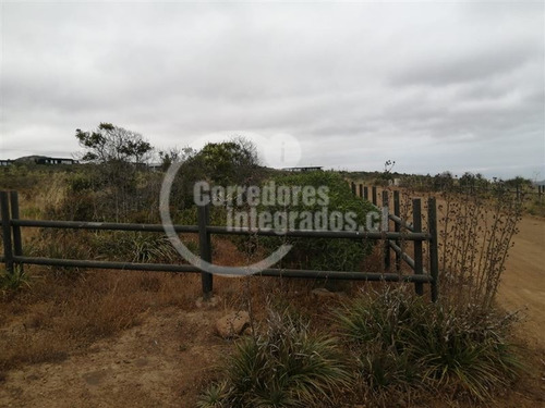 Imagen 2 de 19 de Sitio En Venta En Rocas Del Mar, Los Molles