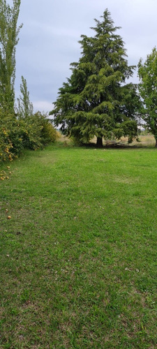 Imagen 6 de 19 de Venta Hermosa Finca Con Vivienda