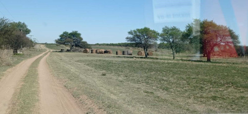 Imagen 14 de 15 de Terreno Campo En Venta Ubicado En La Maruja, Rancul
