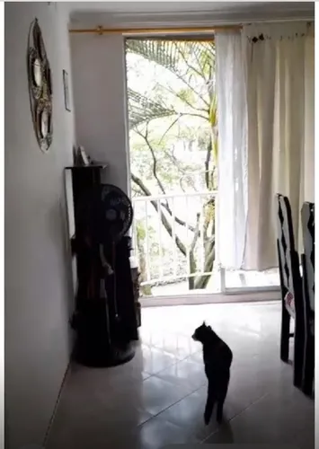 En Venta Apartamento En Guayabal