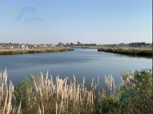 Imagen 17 de 24 de Venta De Lote A Laguna - Villanueva