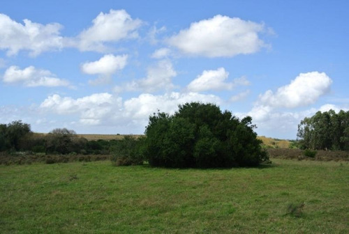 Campo En Venta