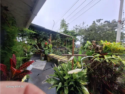 Venta Casa Campestre Salento. Quindío - Colombia Cod: 9054527
