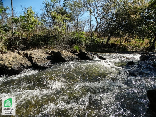Venda Chacaras Lazer Com Acesso Ao Rio Verdinho Paisagem Paradisíaca - 5006