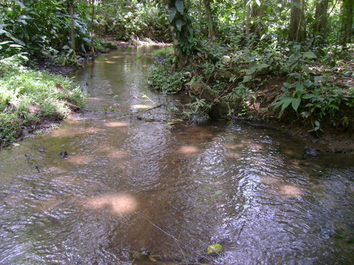 Imagen 9 de 14 de Venta De Hermosa Finca