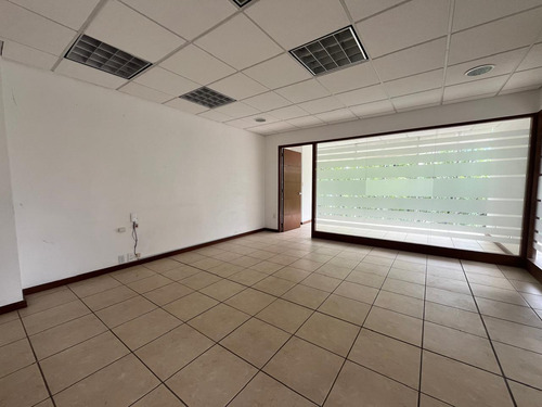 Oficina En Renta- Hamburgo - Piso 3 - 185m2
