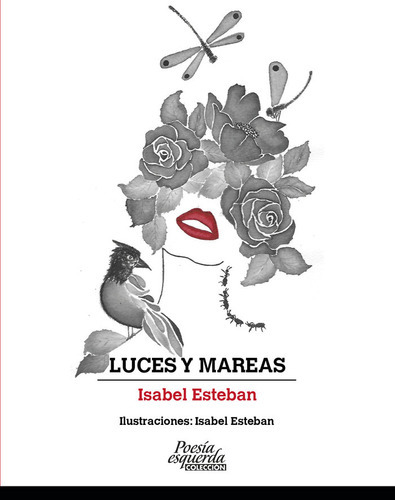 LUCES Y MAREAS, de Esteban, Isabel. Editorial Onix Editor, tapa blanda en español