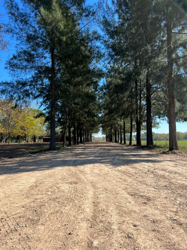 Lotes - Terreno En Venta - Barrio Abierto - Las Merceditas