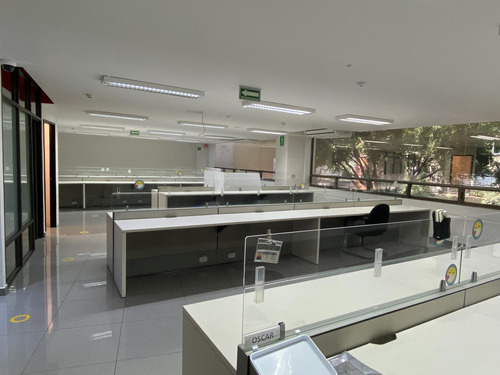 Oficina En Renta En La Condesa