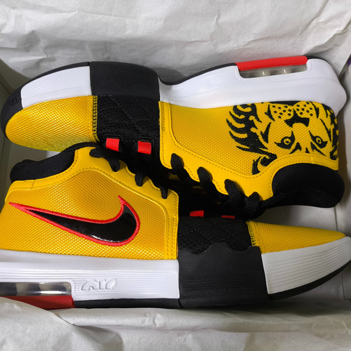Lebron Witness 8 (Usado)