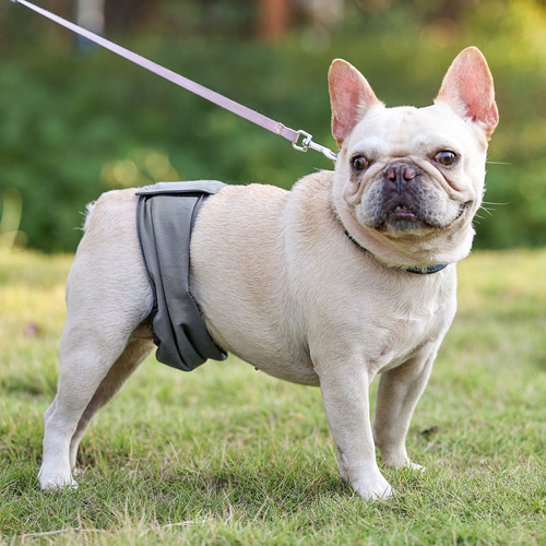 Pañales Lavables Y Reutilizables Para Perros Machos, Paquete