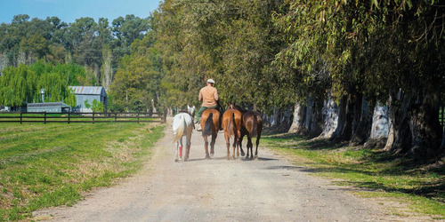 Imagen 8 de 30 de Gran Oportunidad!!! Venta De Lotes En Technopolo- Listos Para Construir!!