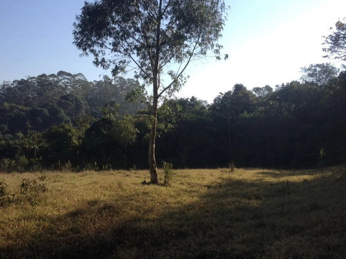 Imagem 6 de 14 de Terreno Para Venda Em Suzano.