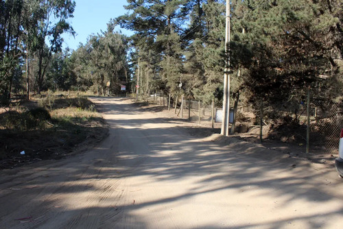 Sitio En Los Pinos