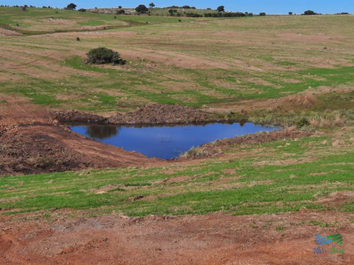 Imagen 8 de 15 de 143 Has Muy Completas Y Muy Buen Campo Ganadero - Rural