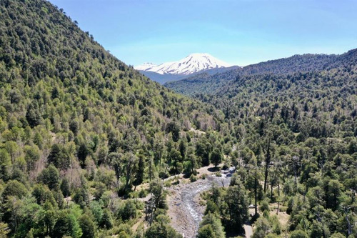 Terreno 5.000 M2 Sector Termas Malalcahuello / Sierra Nevada