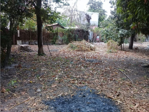 Extenso Terreno En San Jose Teran