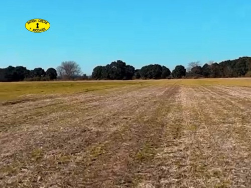 Venta Campo 6 Hectáreas Ruta Nacional 5
