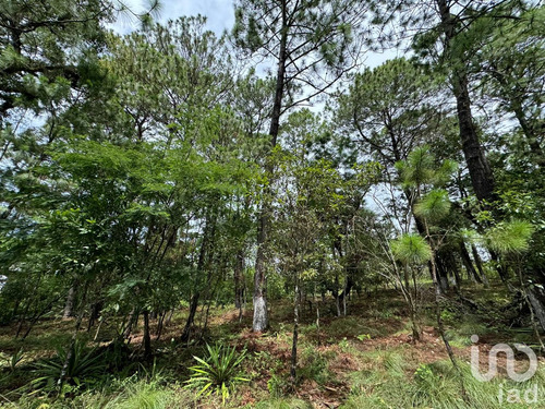Venta Terreno 0 Ambiente Chijiltec (san Isidro)