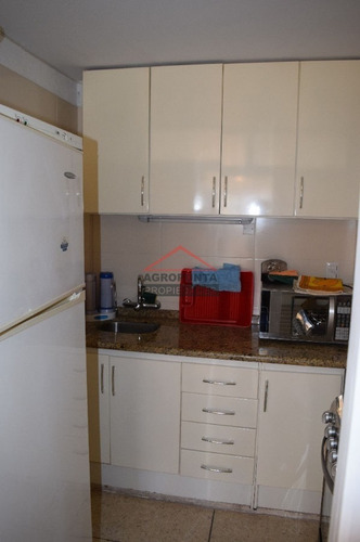 Apartamento En Peninsula, 1 Dormitorios *- Ref: 2846