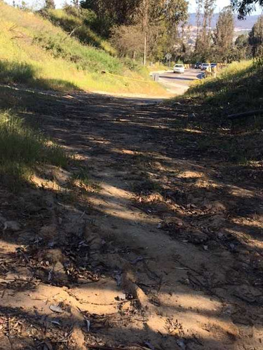 Se Vende Sitio Mixto, Sector Ruta 60 La Polvo (73450)