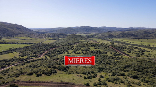 Imagen 1 de 13 de Chacra Campo En Venta En Aguas Blancas, Lavalleja, Mataojo (ref: Atm-6840)