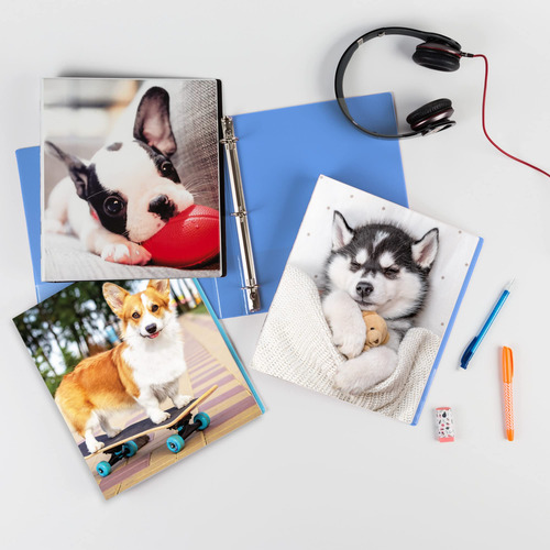 Carpeta De 3 Anillos 25 Mm Cachorro Husky Avery Friends 2684