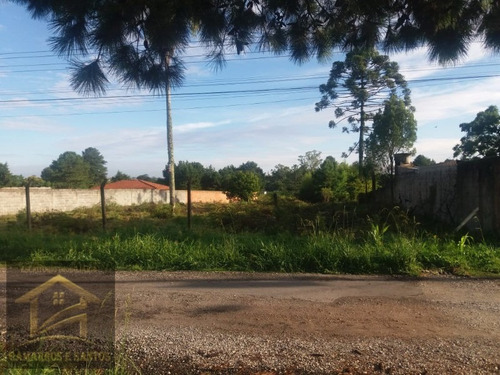 Imagem 1 de 11 de Terreno Com 2.500m² Em Quatro Barras - Te00022 - 33357972