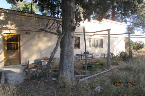 Venta Lote Campo Casa Mendoza General Alvear Bowe
