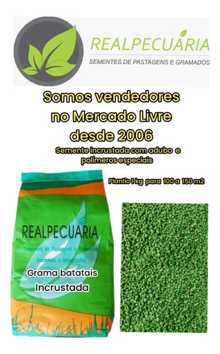 Sementes De Grama Batatais Incrustada (1 Kg Rende Até 150m2)