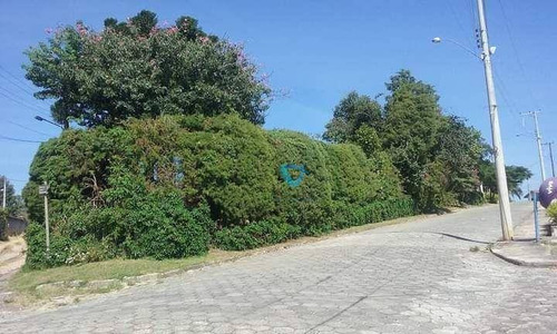 Imagem 20 de 29 de Chácara Com 4 Dormitórios À Venda, 5000 M² Por R$ 688.000,00 - Vila São João - Sarapuí/sp - Ch0010