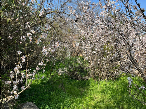 Se Vende Casa En Quilpue