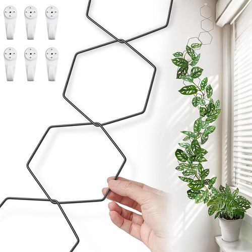 Hexagonal Cadena Enrejado For Interior Plant