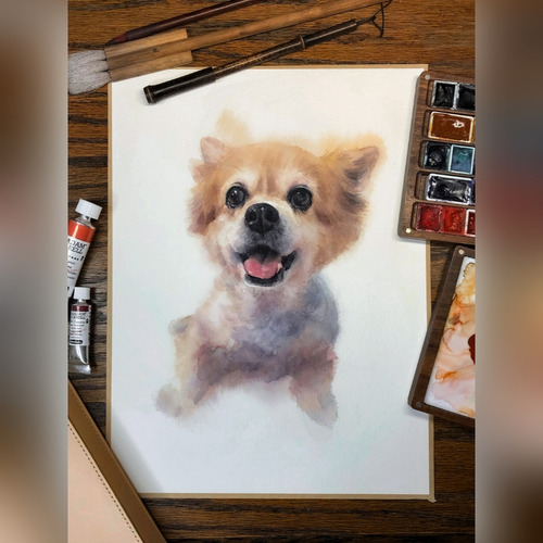 Pintura Acuarela De Mascotas Retrato Por Encargo