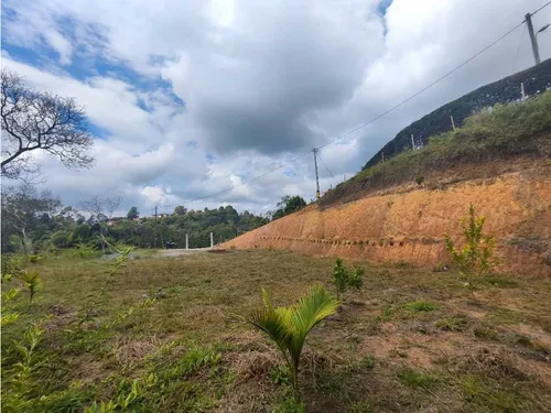 Lote En Rionegro Vereda La Playa