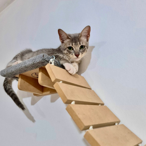 Rascador Para Gatos De Pared Tapizado. Puente Colgante Color Gris