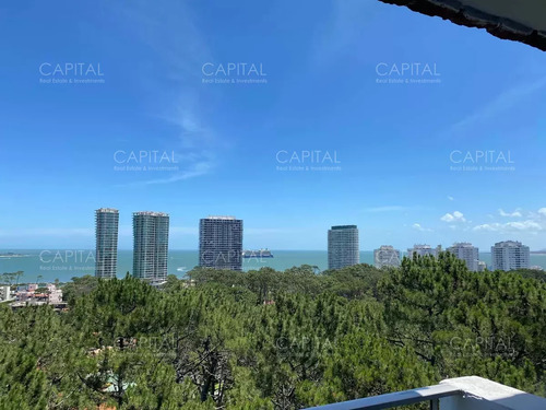 Apartamento De Un Dormitorio Con Vista Al Mar, Playa Mansa, Punta Del Este