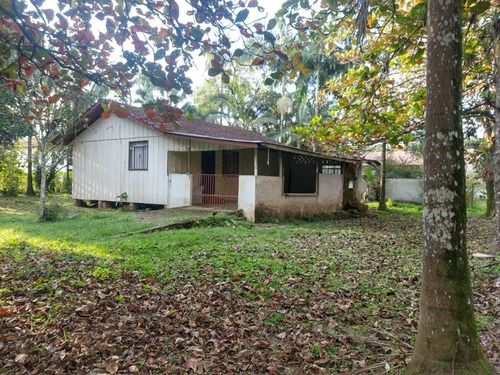 Imagem 6 de 15 de Charmosa Chácara Localizada Na Vila Das Palmeiras - Preço Imperdível - Ch0139