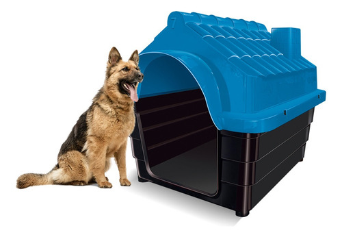 Casinha Para Cachorros N7 Com Colchão Rinopet Cor Azul