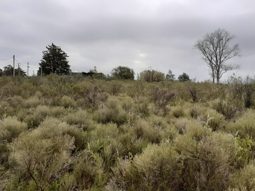 Campo Ruta 67