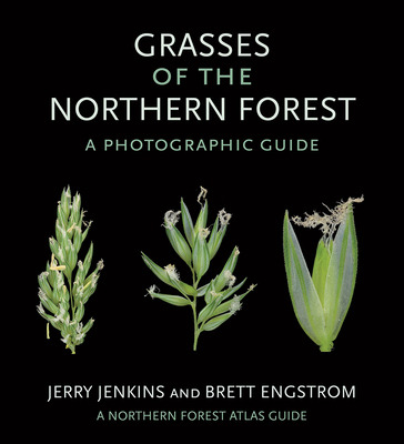 Libro Grasses Of The Northern Forest: A Photographic Guid...