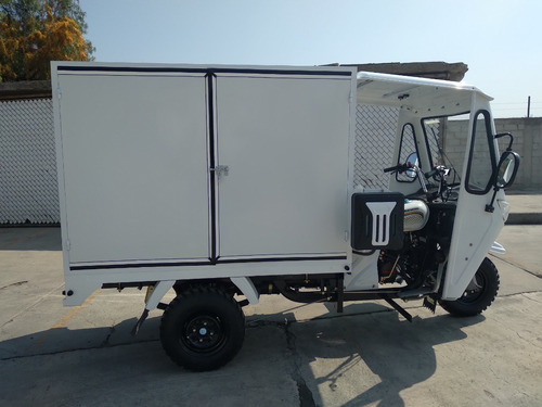 Motocarro Gasolina Muevetec 2025 Rex Se Caja Cerrada 250cc