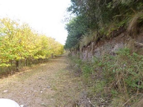 Imagen 2 de 2 de Terreno Venta Corral De Barrancas Unquillo