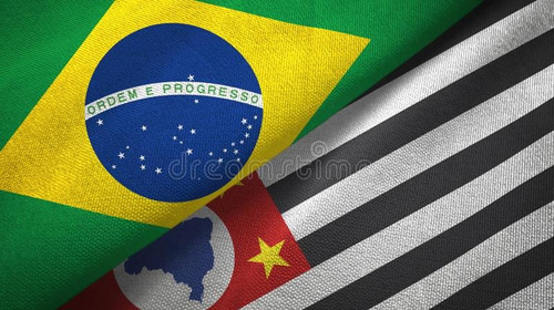 Bandeira Do Brasil Oficial Grande 2,70x360m Brasil São Paulo