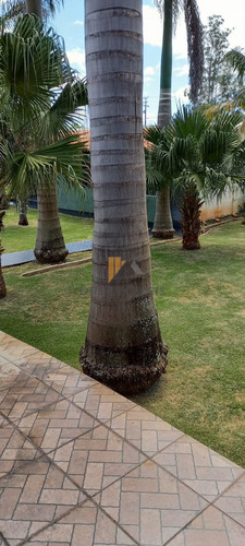 Imagem 2 de 23 de Chácara Em Jardim Vale Verde, Londrina/pr De 1200m² 4 Quartos À Venda Por R$ 600.000,00 - Ch2321484-s