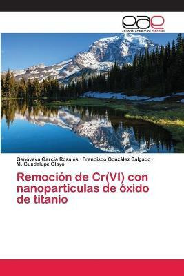 Libro Remocion De Cr(vi) Con Nanoparticulas De Oxido De T...