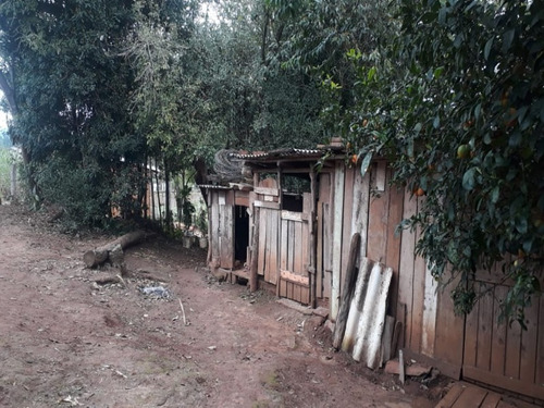 Chácara 20.000 M² - Espinheirinhos - Santo Antonio Da Patrulha - Rs - 2381 - 68129851