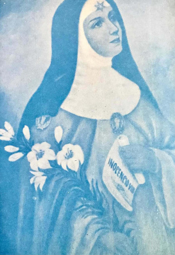 2206 Livro Afonso Santa Cruz: O Pecado De Ser Bela (excel) (Usado)