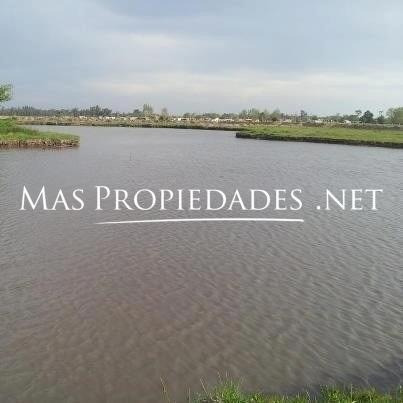 Imagen 2 de 5 de Terreno Fondo A La Laguna En Laguna Azul Ezeiza Canning